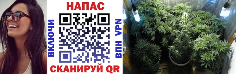 Купить наркотик аптеки Дигора ГАШ  АМФЕТАМИН  Галлюциногенные грибы  APVP  Мефедрон  Бошки Шишки  Кокаин 