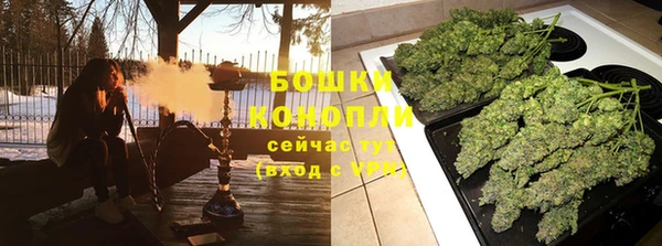 ПСИЛОЦИБИНОВЫЕ ГРИБЫ Балахна