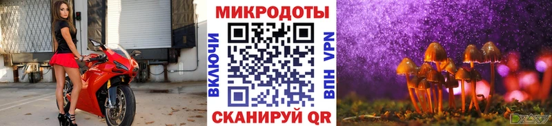 Псилоцибиновые грибы прущие грибы  Дигора 